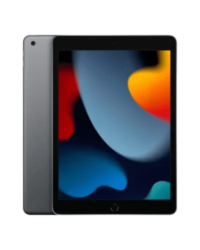 2021 Apple 10.2-inch iPad Wi-Fi 64GB &ndash; Space Gray (9th Generation)